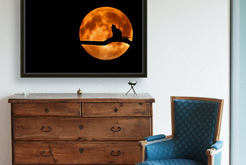 tree cat silhouette moon full moon by Shamudy