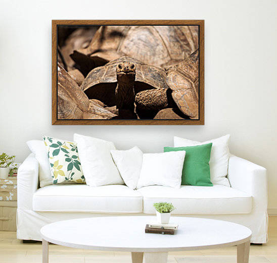 3W3A1100 copy by MIRICA DAN-ALEXANDRU