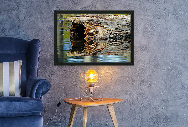 Hollow Log Reflection In Pond by Deb Oppermann