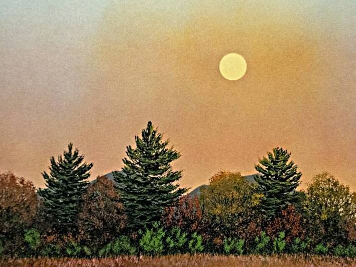 Beginning Light  by Frank Wilson