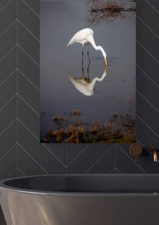 The Kiss White Egret by Frank Wilson