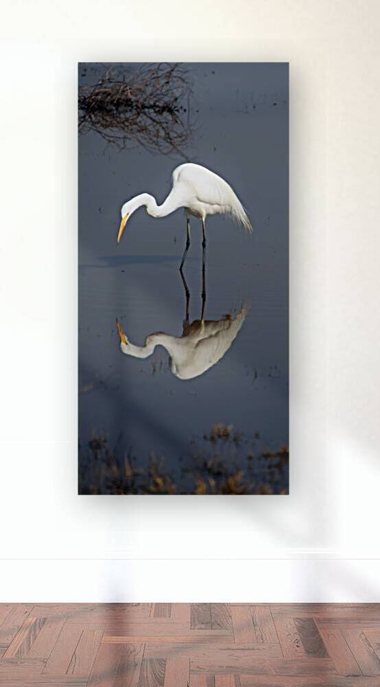 Who Are You White Egret by Frank Wilson
