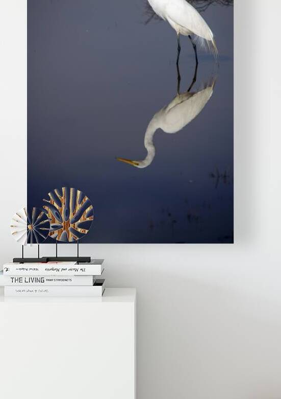 White Egret Reflection by Frank Wilson