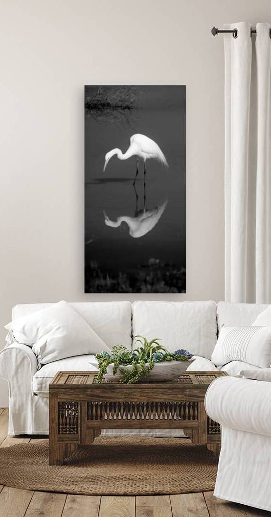 Who Are You White Egret BW by Frank Wilson