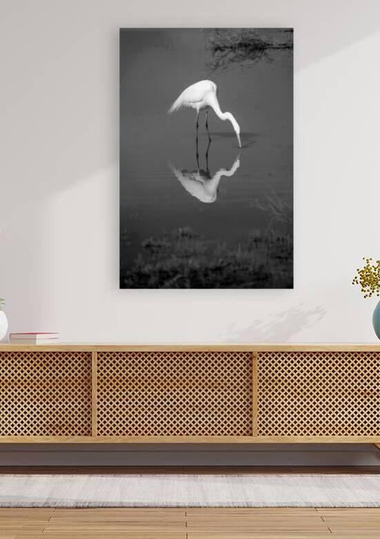 The Kiss White Egret BW by Frank Wilson