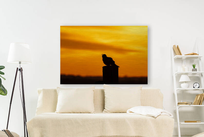 Redwing Blackbird at Sunrise by Joe Riederer