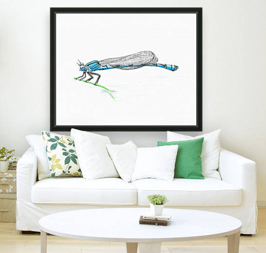 Damselfly Adult by Lee Garrett