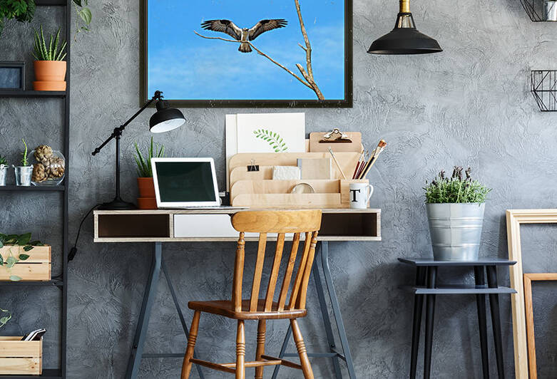 Osprey Landing by Deb Oppermann