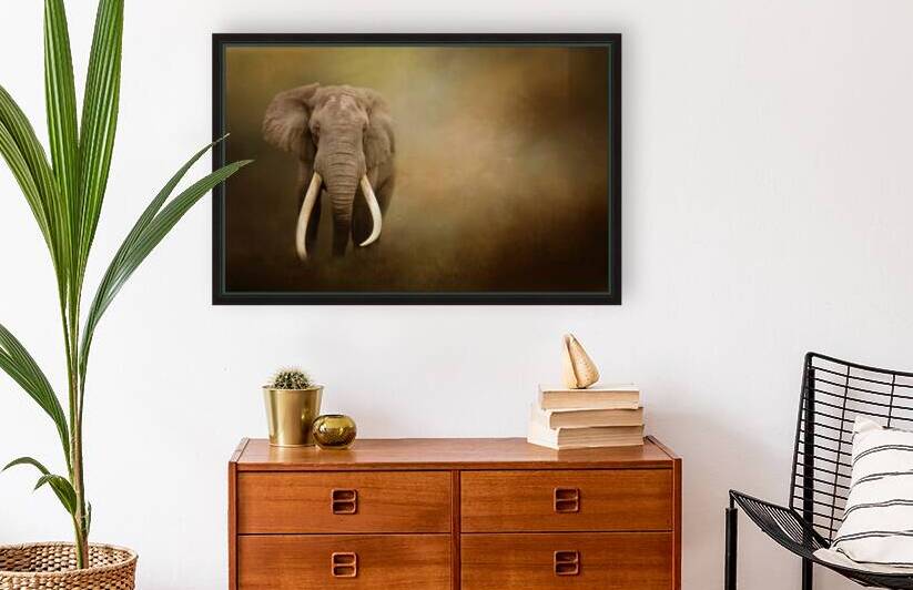 Out of the Shadows by Michel Soucy