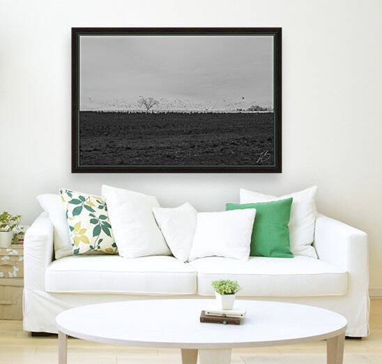 Distant Tree by IsabelVictoria