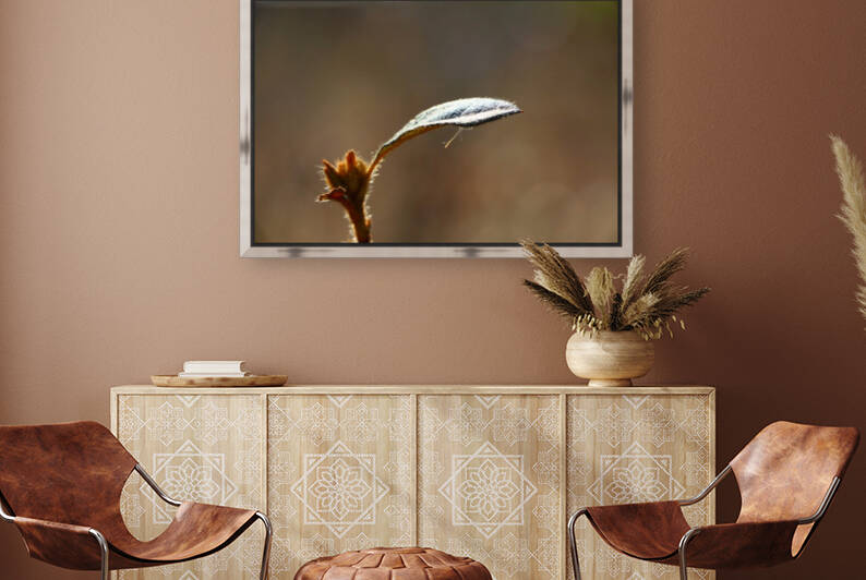 The Portal of Life by IsabelVictoria