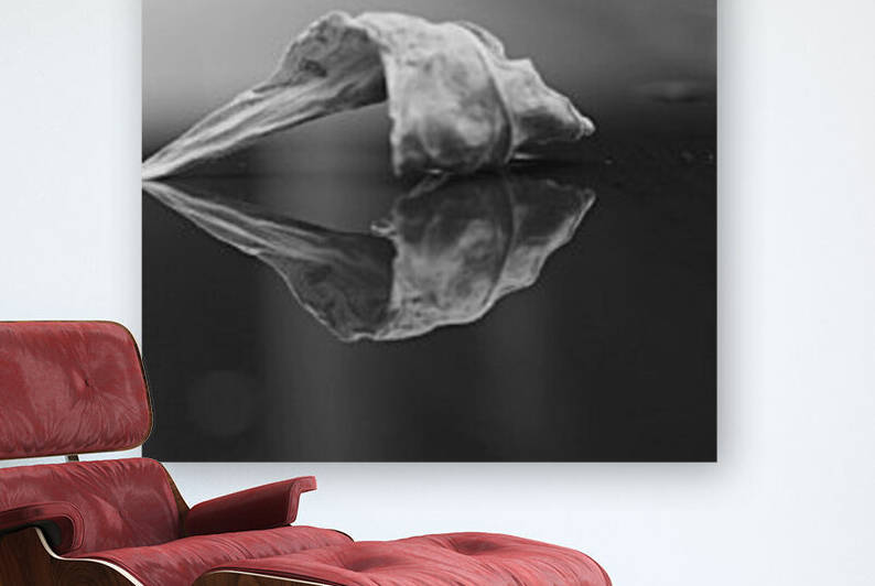 The Paradise of Reflections  by IsabelVictoria