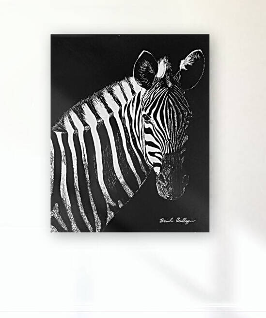 Zebra Portrait by Brinda Chellappan