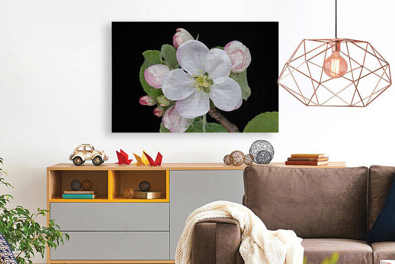 Apple Blossom by Joe Riederer