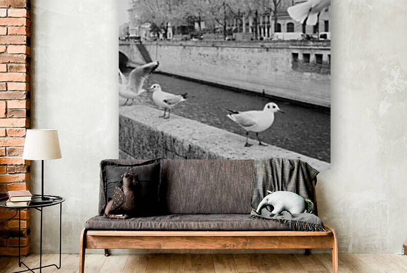 Les Oiseaux by Bill Osuch