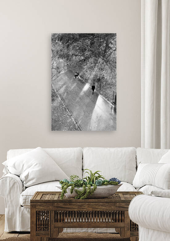 Winter Shadows Buttes Chaumont by Bill Osuch