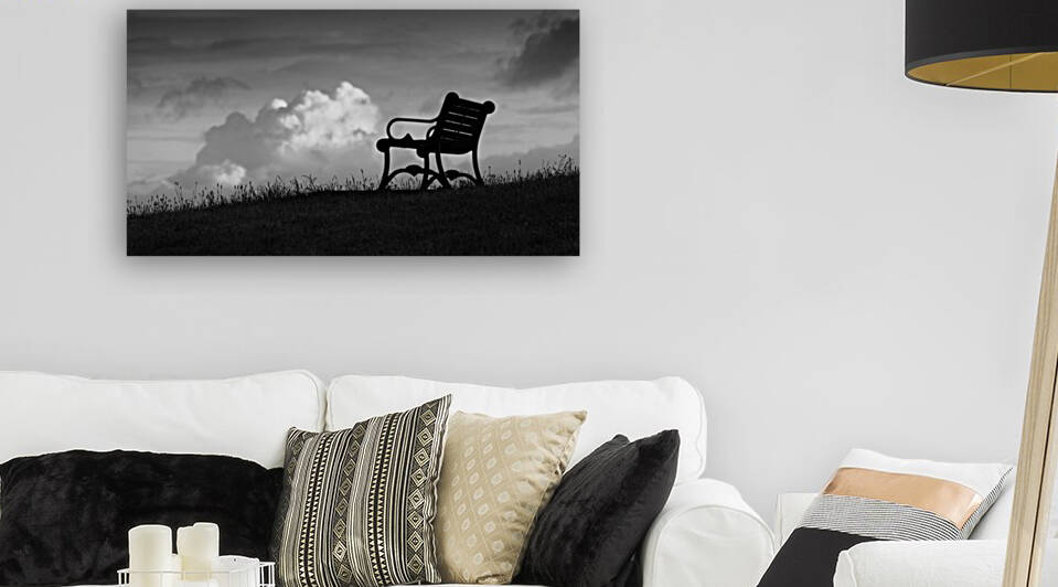 A bench with a view by Leighton Collins