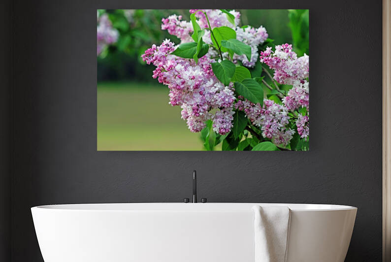 The Magic Of Lilacs by Deb Oppermann