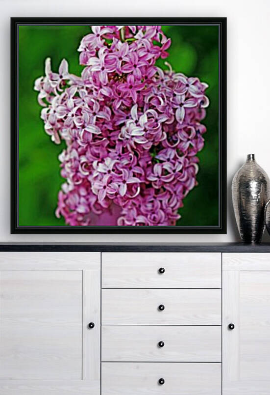 Wine Red Lilacs I by Deb Oppermann