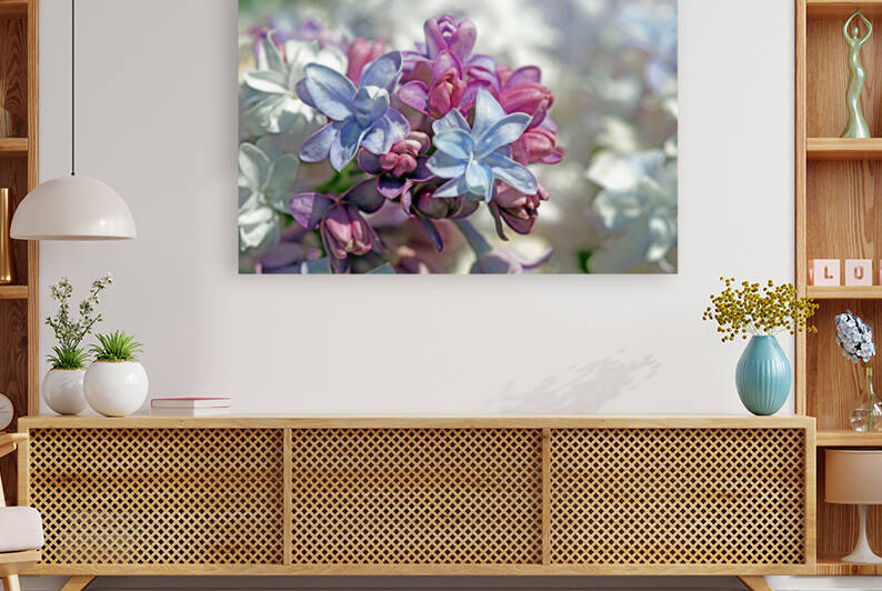 Gorgeous Lilacs I by Deb Oppermann