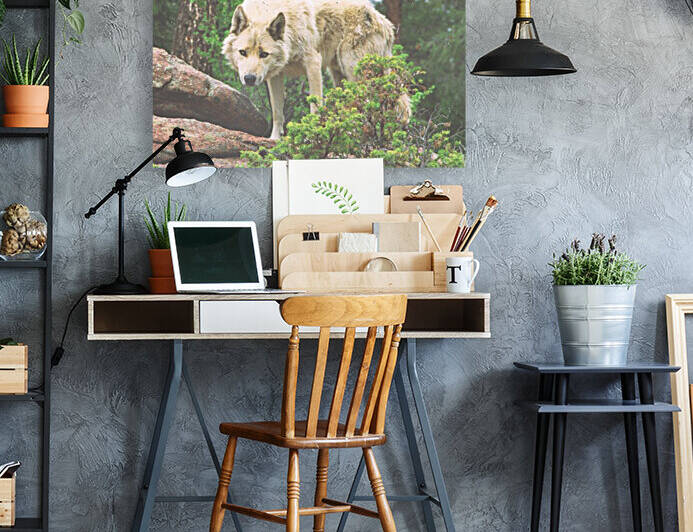 Timber Wolf Pouncing by Steve Tohari