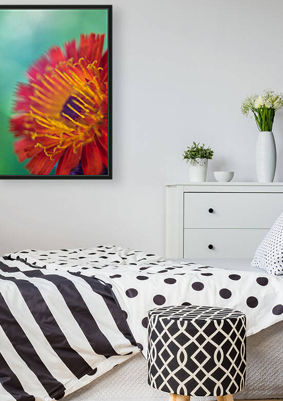 Joes Flower by Darren LeBlanc