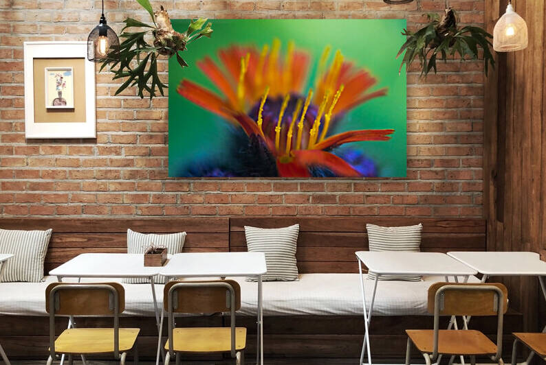 Toms Flower by Darren LeBlanc