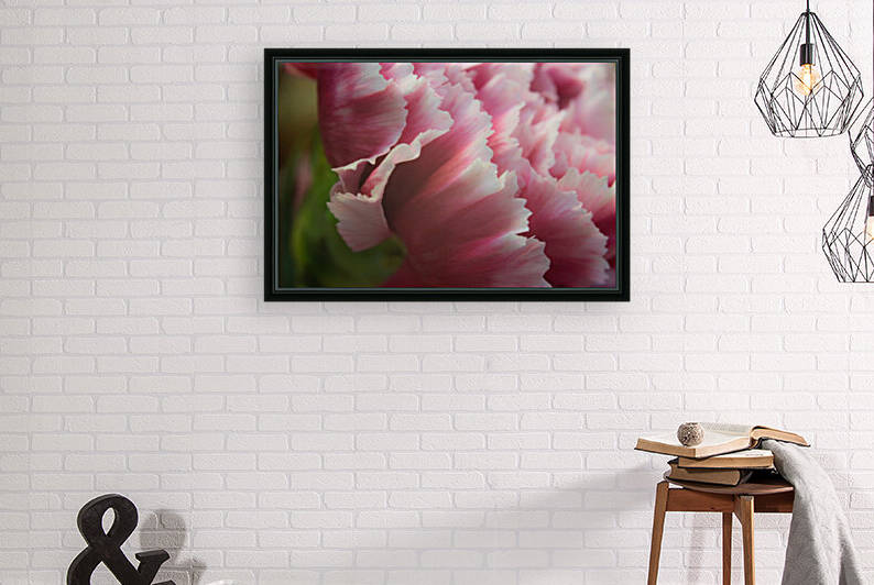 Coronation by Darren LeBlanc