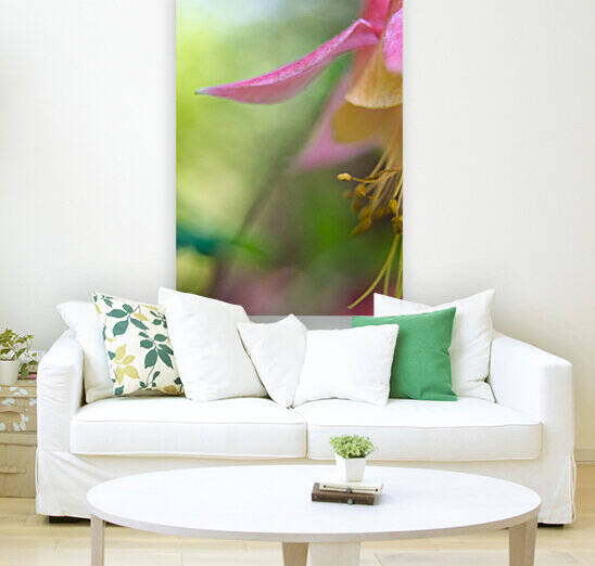 Hyde Flower by Darren LeBlanc