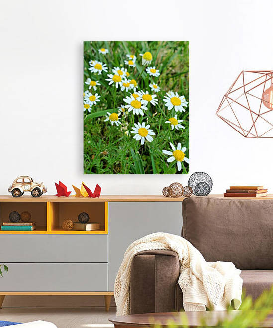 The Earth is Pushing up Daisies  by The NC Geek