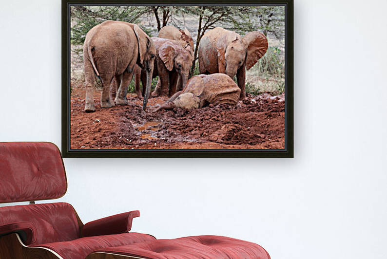 Elephants by ND_PHOTOGRAPHY