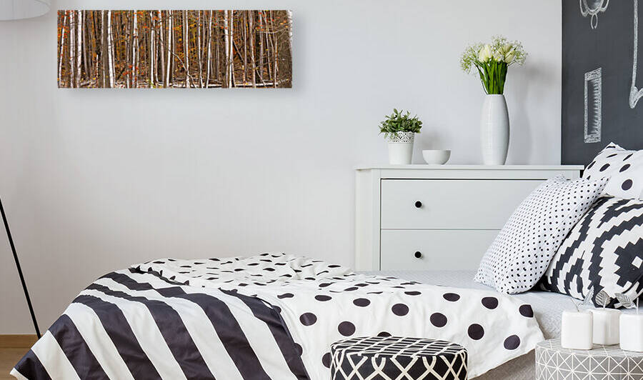 Birches by ROHphotos