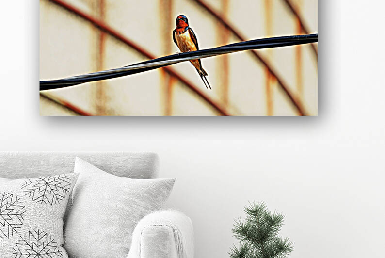 Perched Barn Swallow by Deb Oppermann