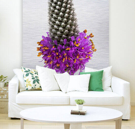 Purple Prairie Clover by Joe Riederer