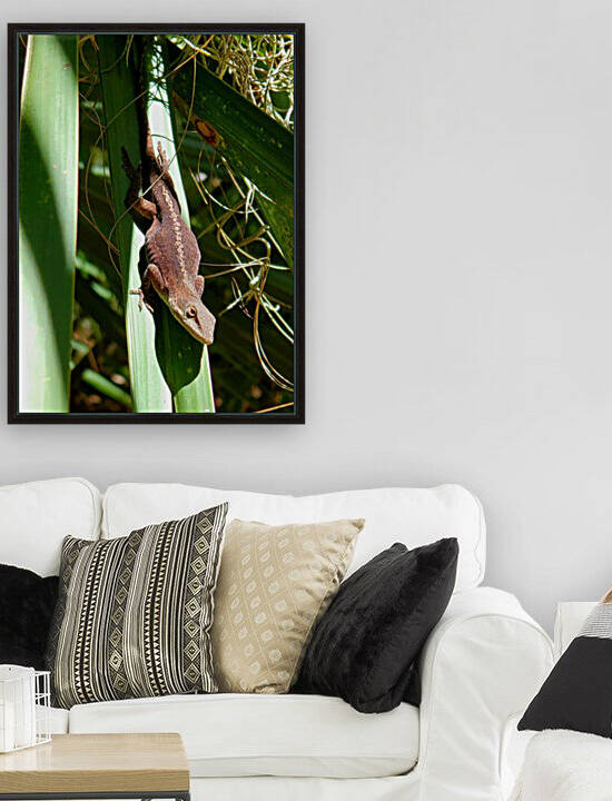 The Curious Lizard by The NC Geek