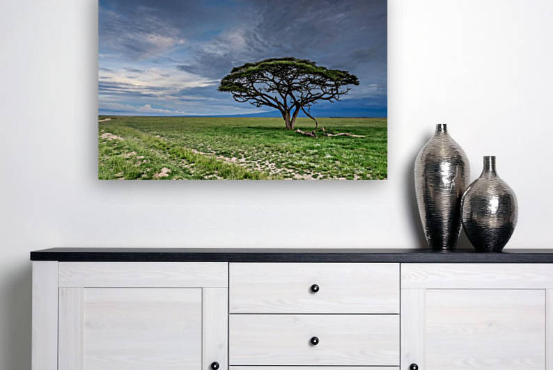 Amboseli Tree by Douglas Madel