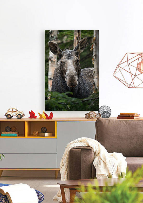 Portrait  by Philippe DE-BRUYNE