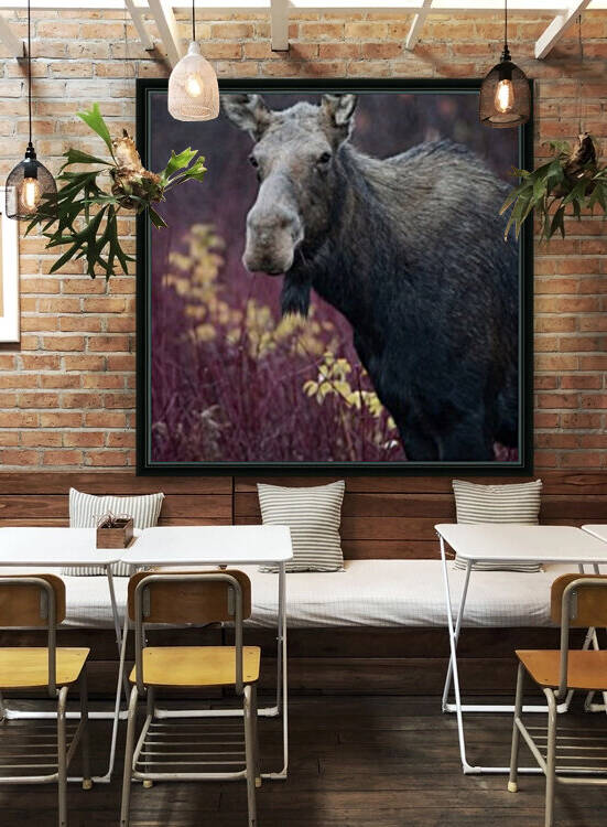 Couleur dautomne by Philippe DE-BRUYNE