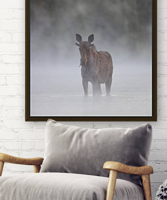 La brume    by Philippe DE-BRUYNE