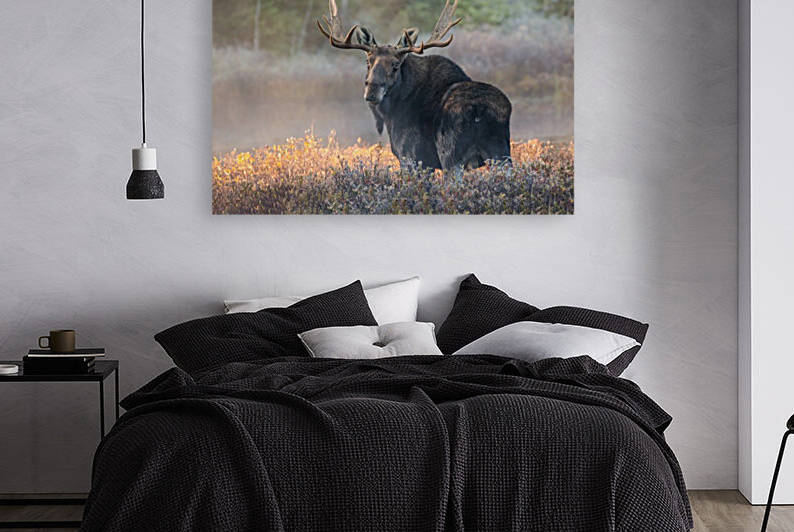 Automnale  by Philippe DE-BRUYNE