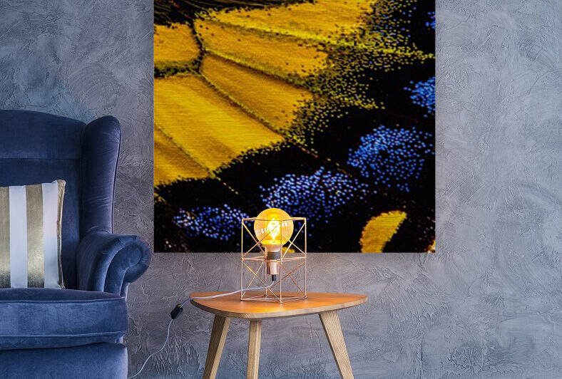 Tiger Swallowtail Wing by Joe Riederer