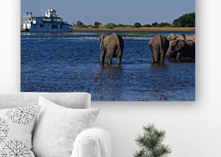 Elephants in the river by Elena Ska