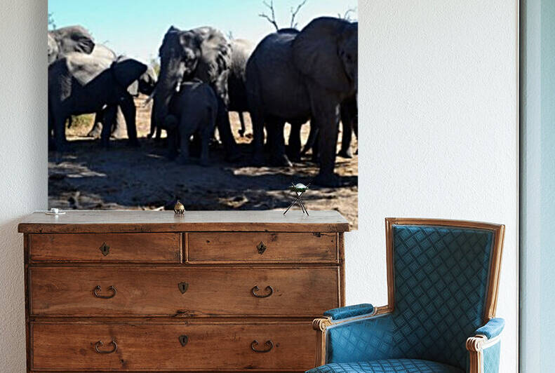 Family of Elephants by Elena Ska