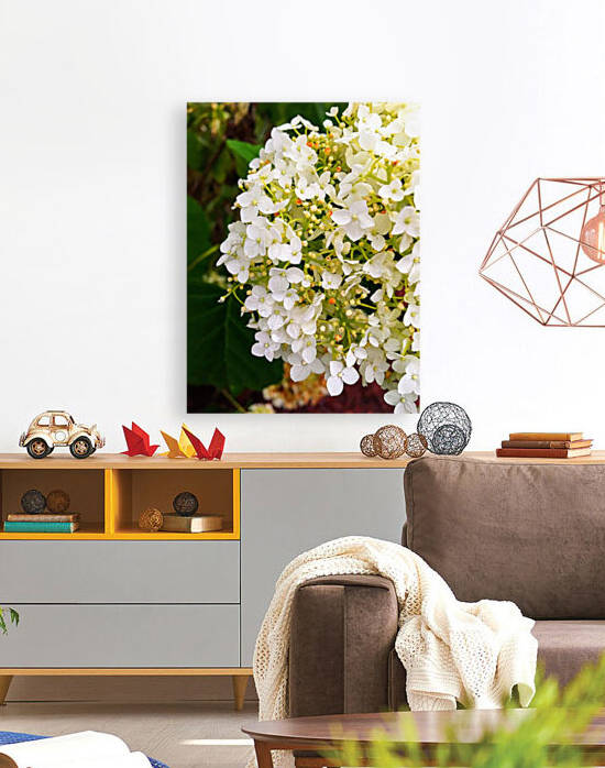 A Closer Look by Amna Hashmi