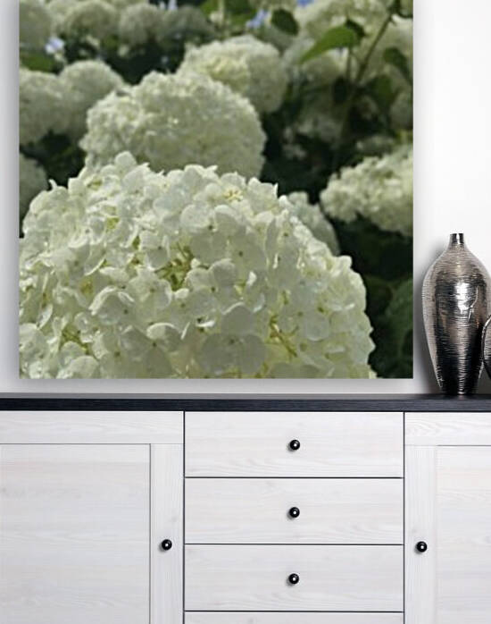 Below the Sky by Amna Hashmi