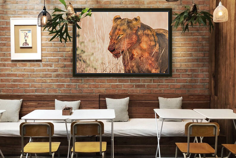 Hunter by VMC Photography