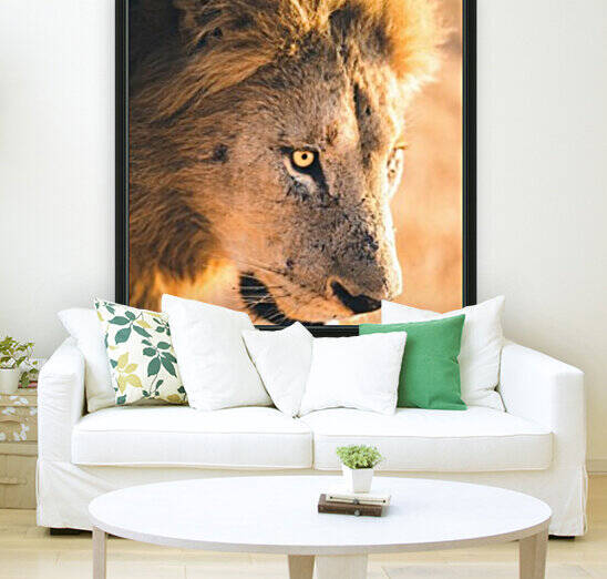 Lions Den by VMC Photography