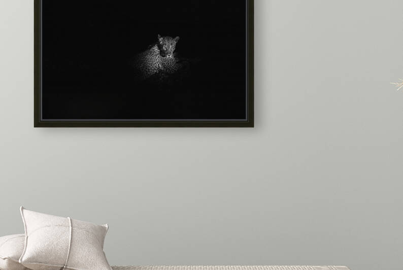 Leopard 2 by VMC Photography