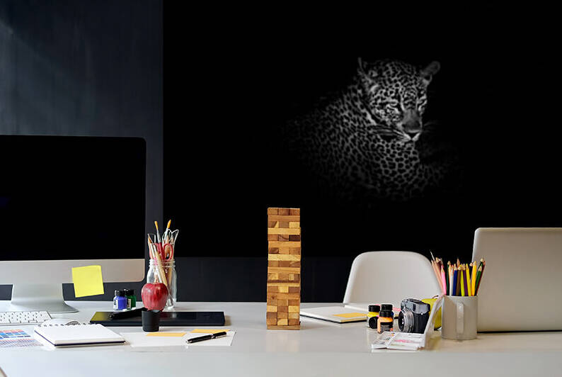 Leopard by VMC Photography