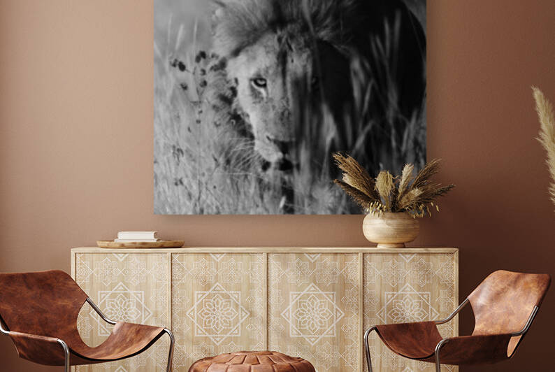 Lions Mane - B-W by VMC Photography